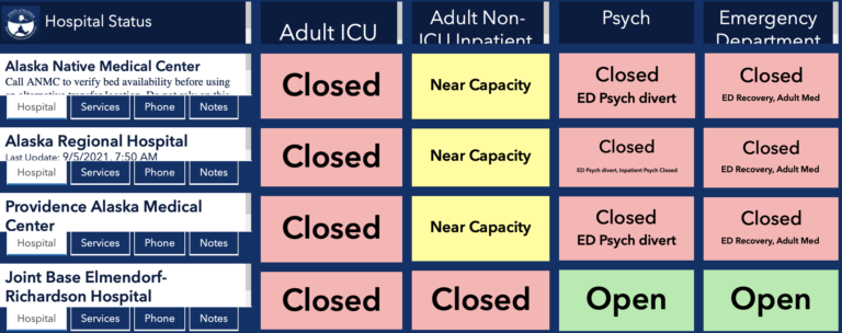 Alaska ICU beds